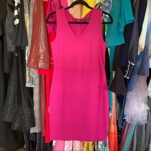 Bright pink Banana Republic work dress